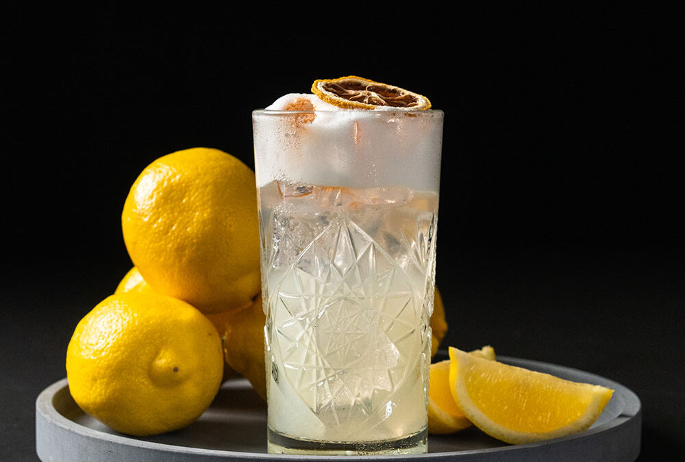 Gin Fizz